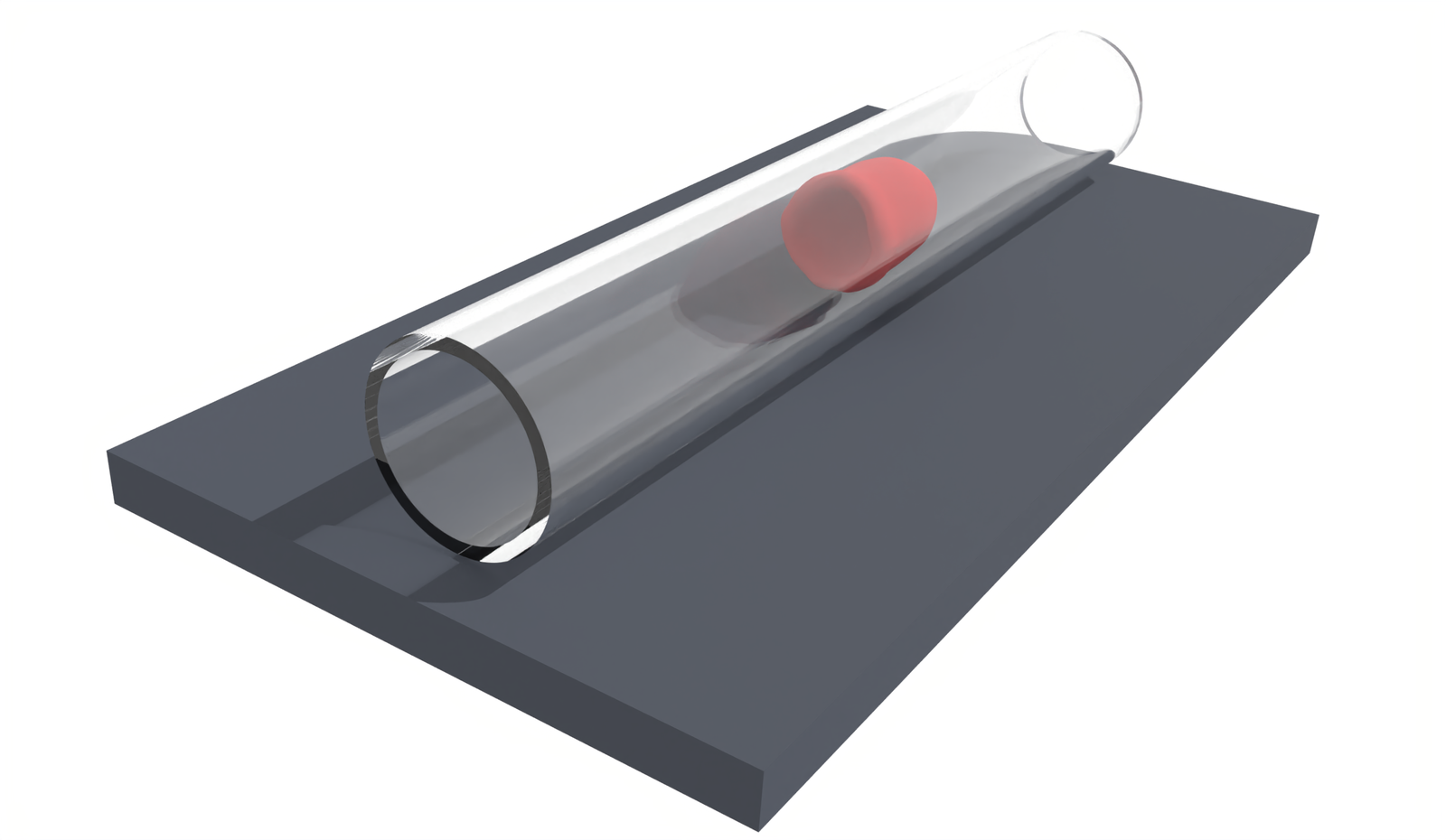 Simulation of red blood cells flowing through a narrow tube